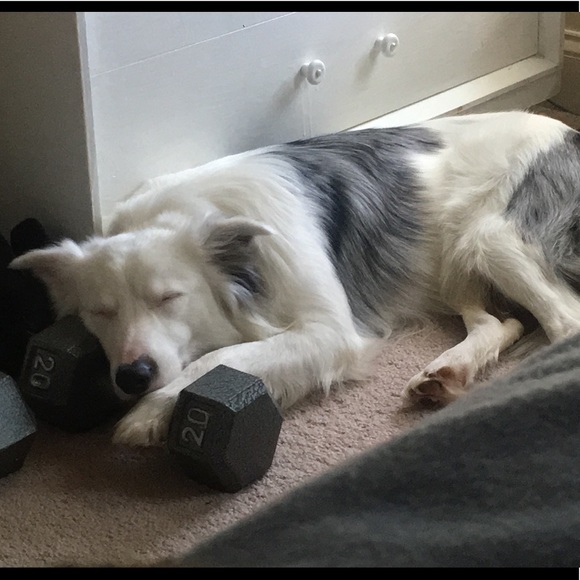 Meet your Posher, Brionn - Picture 1 of 1